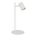 PLASTIČNA SVJETILJKA